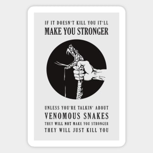 Venomous Snakes! Magnet